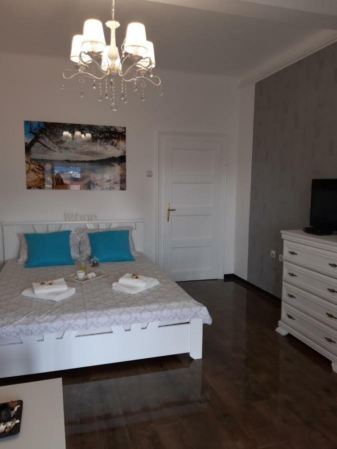 Zorana-center *