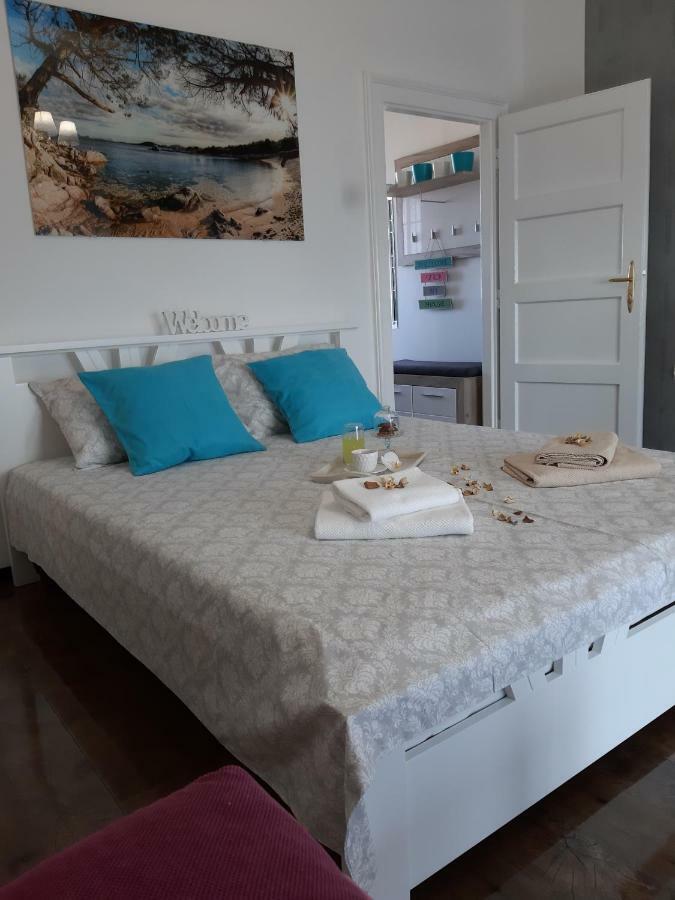 Zorana-center *